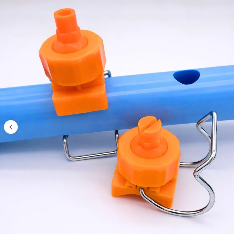 Orange Version